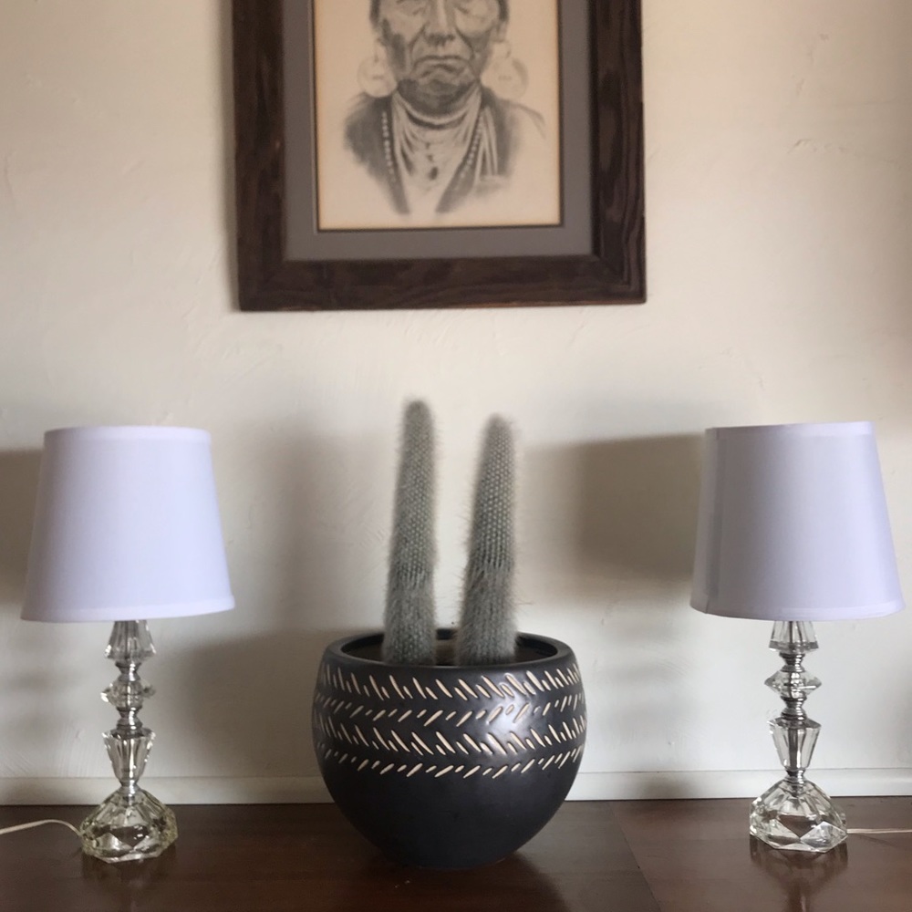 Pair of vintage glass lamps